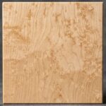 A pale creamy backdrop distinguished by unique, small, swirling 