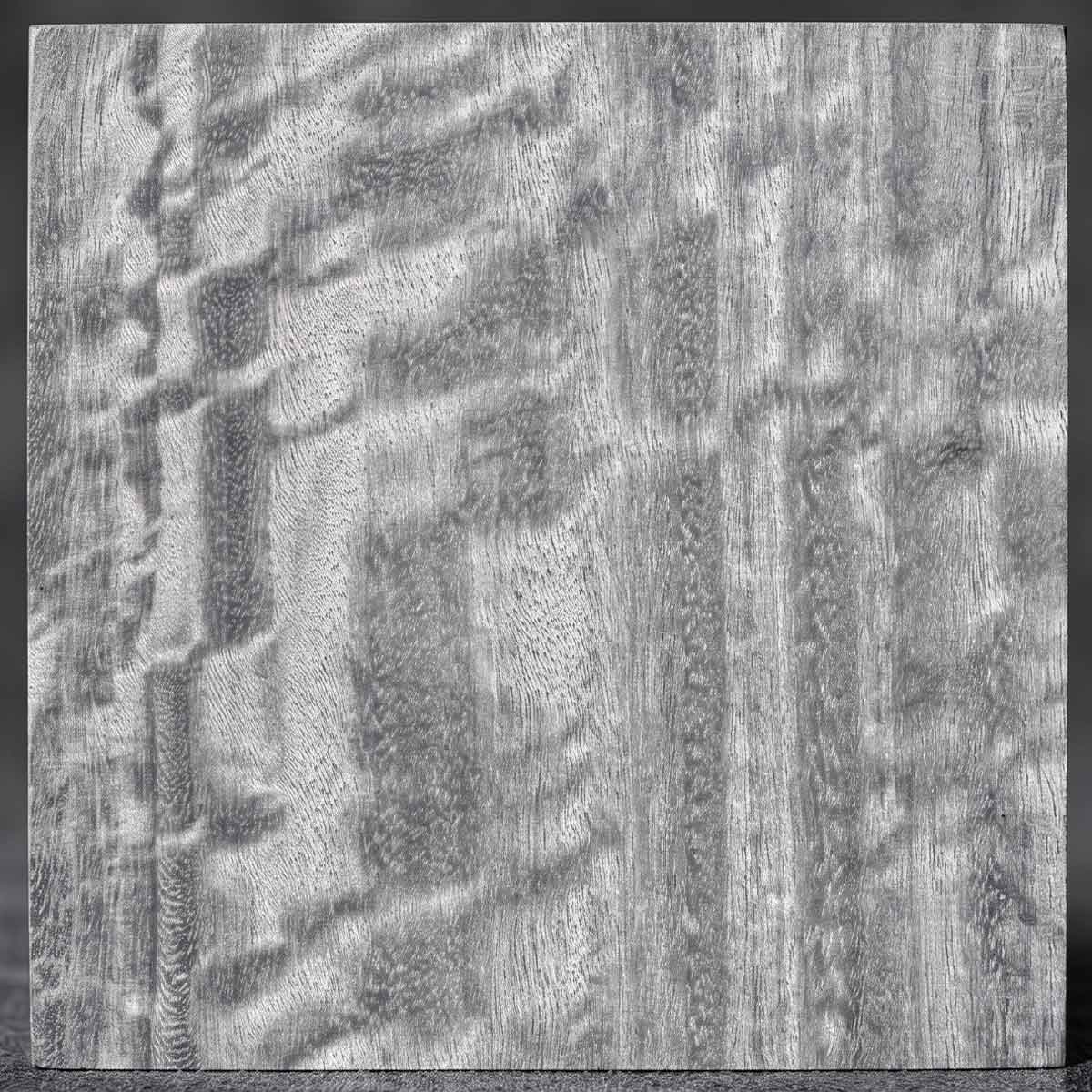 Eucalyptus Gray
