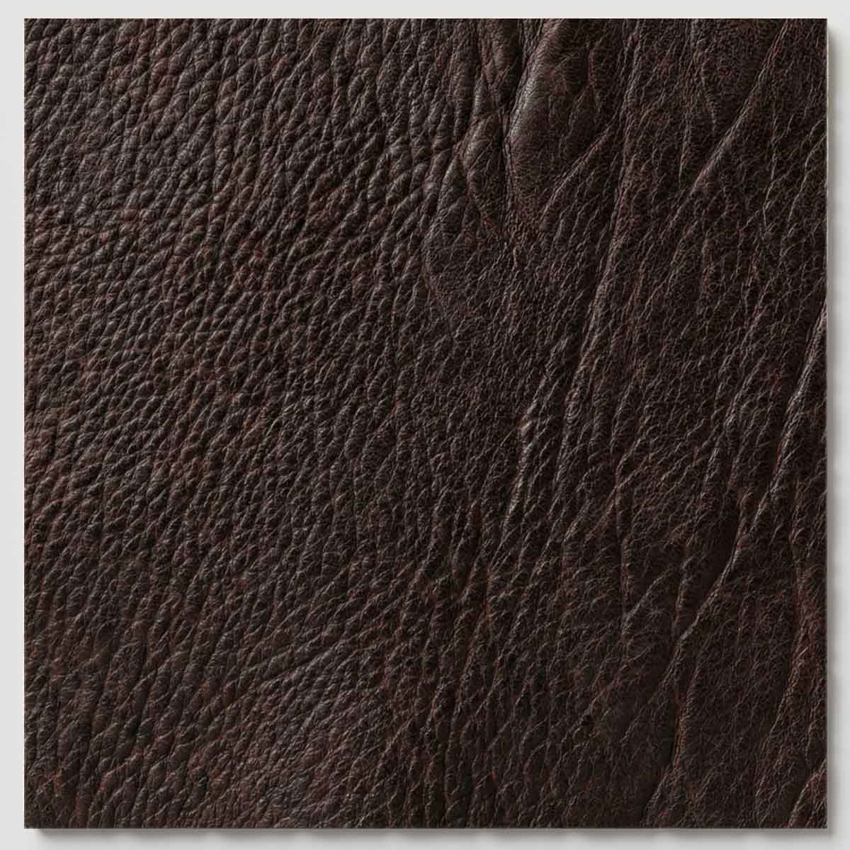 Leather – Macassar Dark