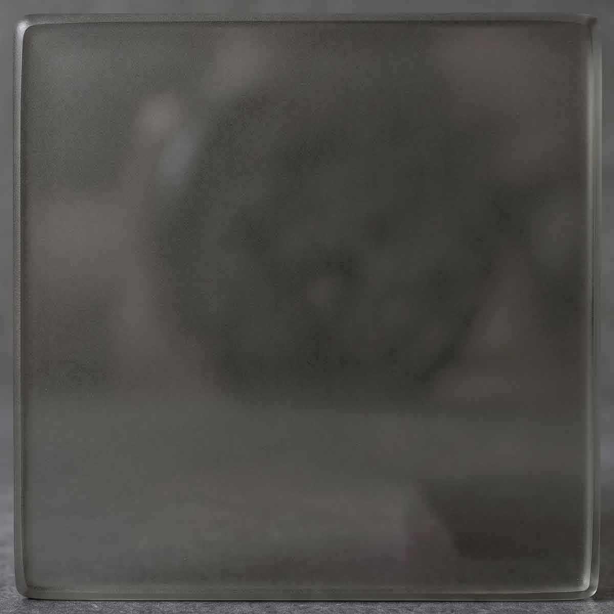 Obsidian Mist