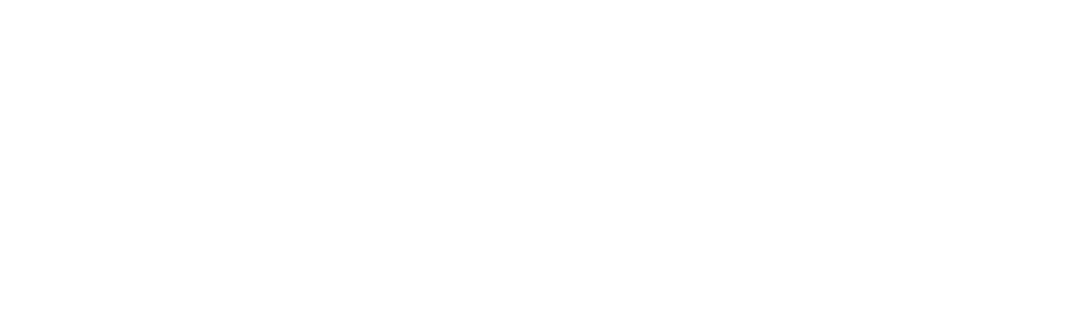 Palena Studio