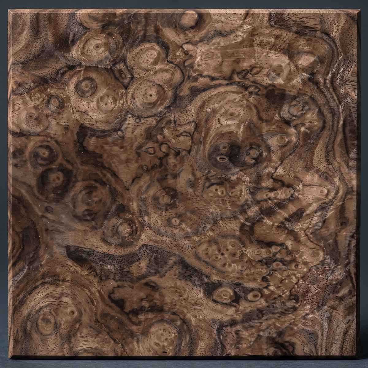 Walnut Burl