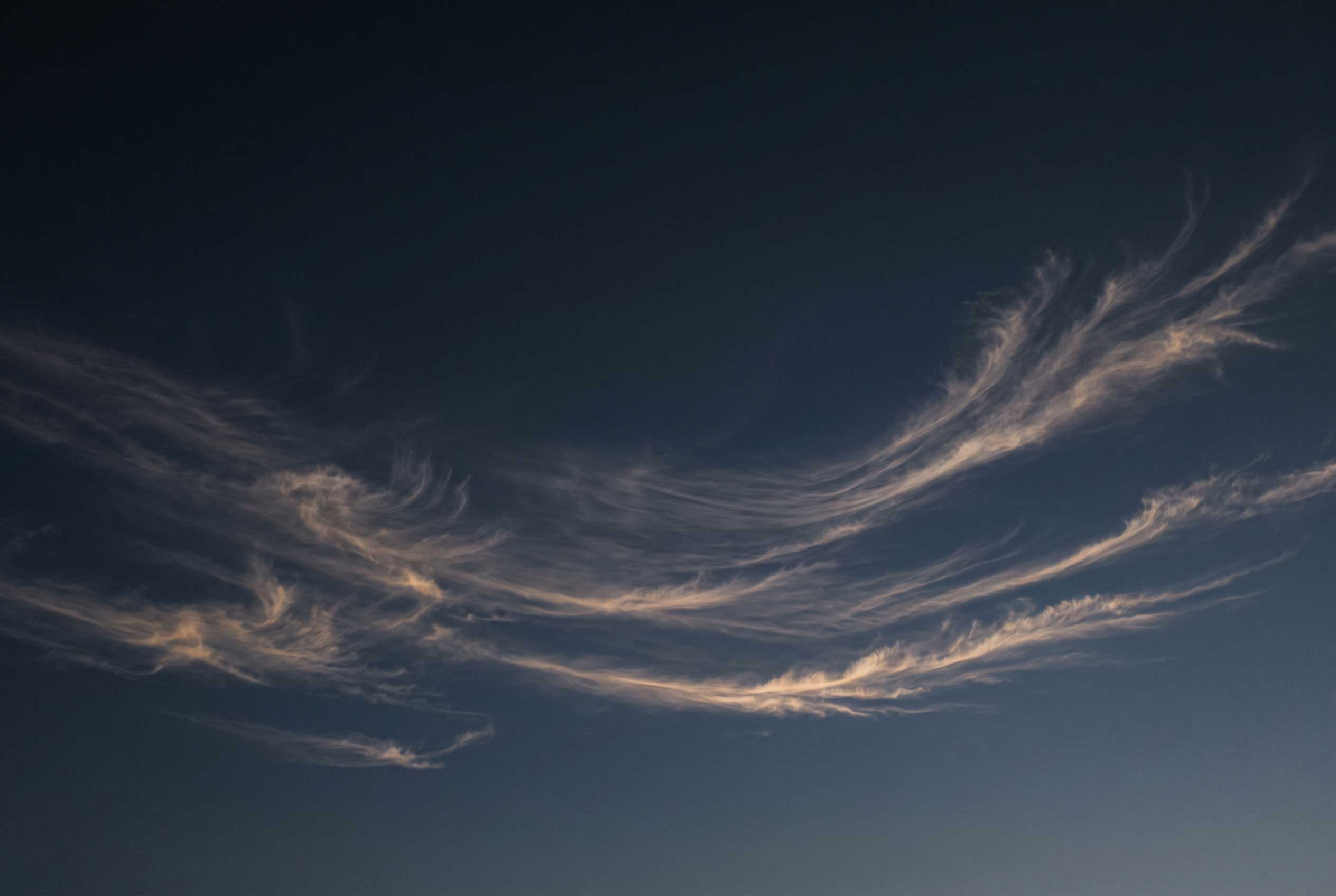Thin, curling cirrus clouds high in the sky